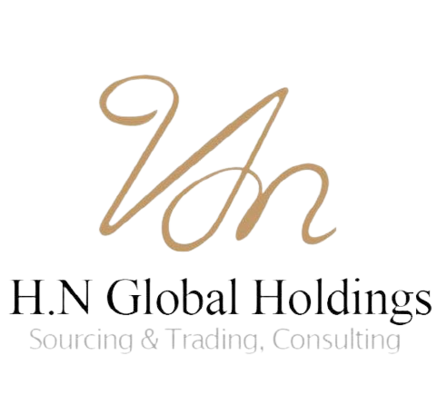 H.N Global Holdings